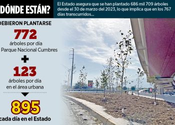 Controversia Por El Plan De Reforestación y Su Opacidad
