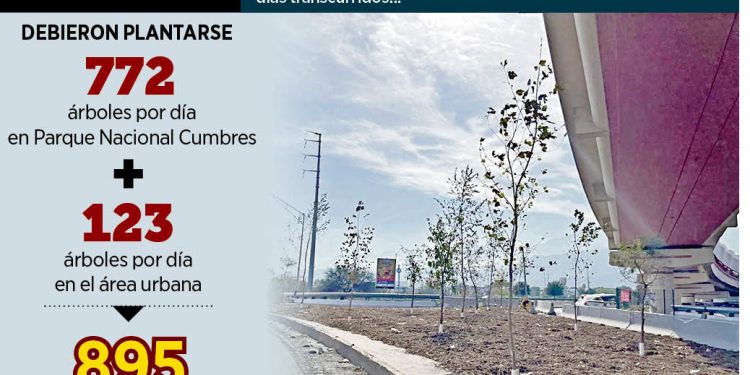 Controversia Por El Plan De Reforestación Y Su Opacidad - La Sultana Informa