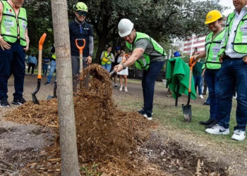 Samuel Y La Controversia De Los Árboles No Plantados