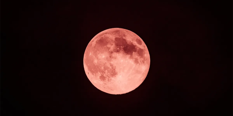  - La Sultana Informa