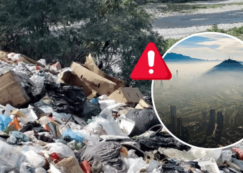 delitos ambientales fiscalía