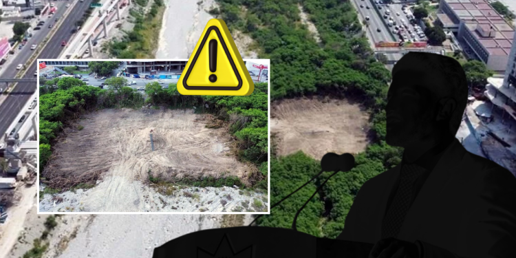 Samuel Desmonta - La Sultana Informa