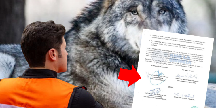 La Pastora - La Sultana Informa