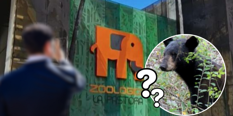 Denuncia a Samuel - La Sultana Informa