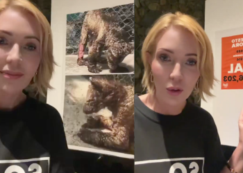 Presupuesto De La Pastora - La Sultana Informa