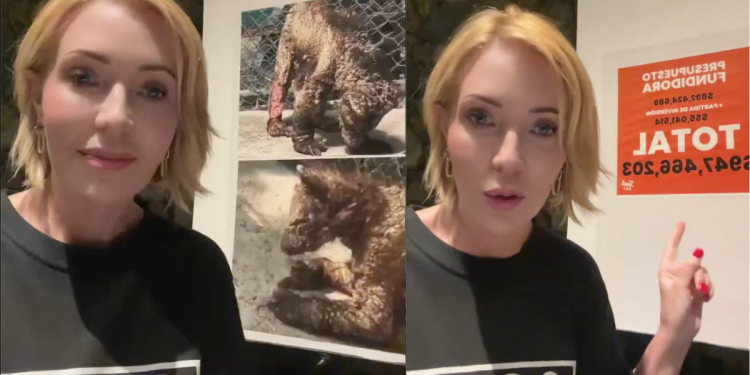 Presupuesto De La Pastora - La Sultana Informa