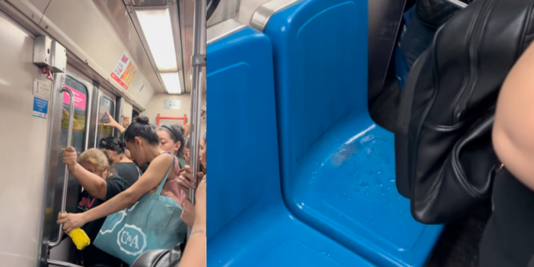 Vagones Inundados, Deficiencias Metro, Usuarios Afectados, Lluvia En Metro - La Sultana Informa