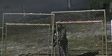 Inseguridad En Nuevo León - La Sultana Informa