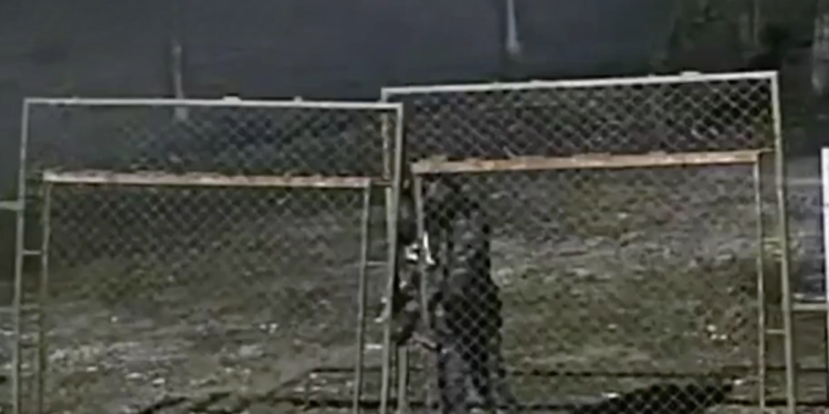 Inseguridad En Nuevo León - La Sultana Informa Inseguridad En Nuevo León - La Sultana Informa