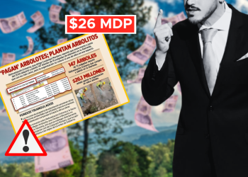 Alameda-reforestación-extrema-medio-ambiente-árboles - La Sultana Informa