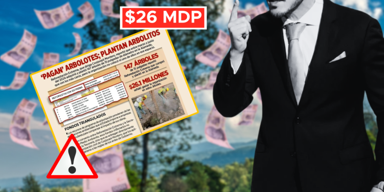 Alameda - La Sultana Informa Alameda-reforestación-extrema-medio-ambiente-árboles - La Sultana Informa