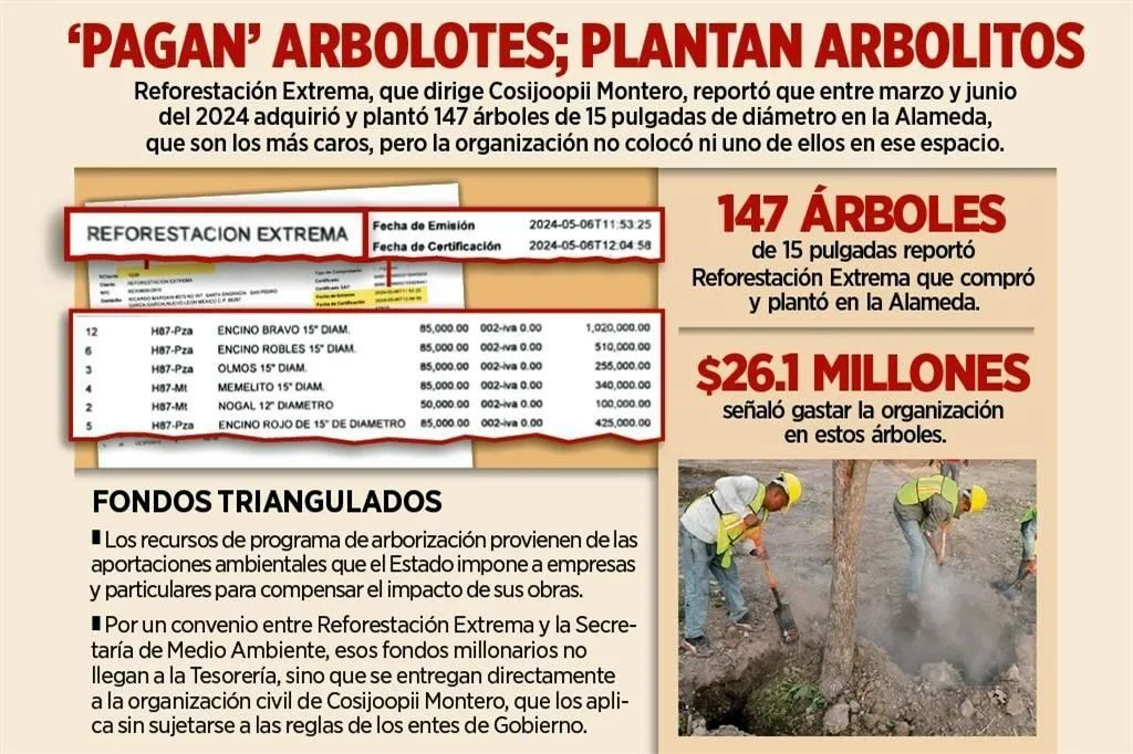Árboles Fantasmas - La Sultana Informa Alameda-reforestación-extrema-medio-ambiente-árboles