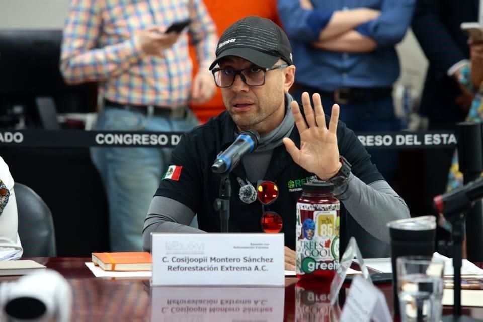 Árboles - La Sultana Informa Alameda-reforestación-extrema-medio-ambiente-árboles