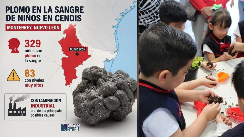 Cifras De Niños Con Plomo En La Sangre En Nuevo León