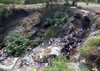 Gobierno Estatal Simula Limpieza En Las Sabinitas - La Sultana Informa