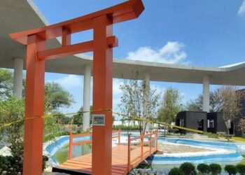 árboles Secos En El Parque Del Agua - La Sultana Informa