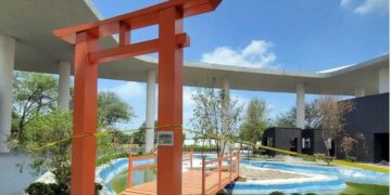 árboles Secos En El Parque Del Agua - La Sultana Informa