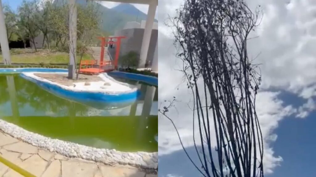 Malos-olores-en-el-parque-del-agua - La Sultana Informa Estanque Con Agua Sucia Y árboles Secos En El Parque De Agua - La Sultana Informa